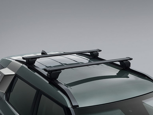 Κομψές μπάρες οροφής