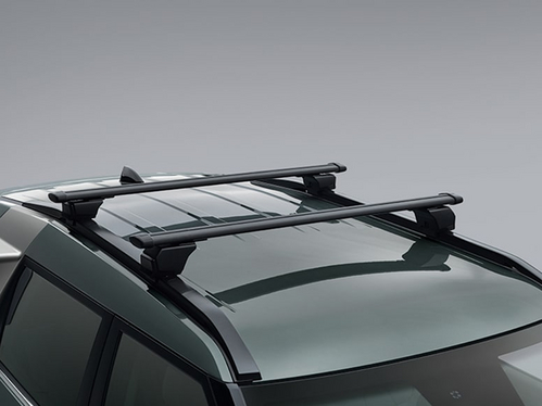 Κομψές μπάρες οροφής