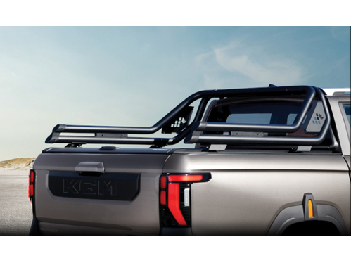 Roll Bar